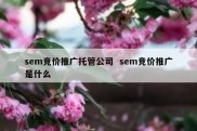 sem竞价推广托管公司  sem竞价推广是什么