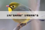 公司广告如何推广  公司如何做广告