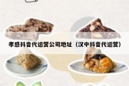 孝感抖音代运营公司地址（汉中抖音代运营）