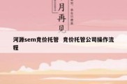 河源sem竞价托管  竞价托管公司操作流程