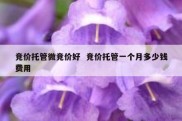 竞价托管微竞价好  竞价托管一个月多少钱费用