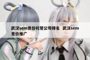 武汉sem竞价托管公司排名  武汉sem竞价推广
