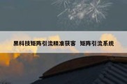 黑科技矩阵引流精准获客  矩阵引流系统