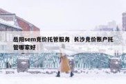岳阳sem竞价托管服务  长沙竞价账户托管哪家好
