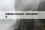 快速涨粉1000的技巧  如何快速涨粉一万