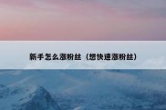 新手怎么涨粉丝（想快速涨粉丝）