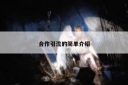 合作引流的简单介绍