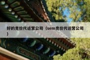 好的竞价代运营公司（sem竞价代运营公司）