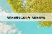 竞价托管是信亿驱动力  竞价托管网站