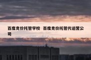 百度竞价托管学校  百度竞价托管代运营公司