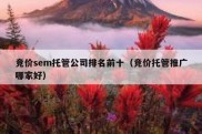 竞价sem托管公司排名前十（竞价托管推广哪家好）