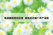株洲搜狗竞价托管  搜狗竞价推广开户流程