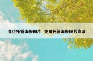 竞价托管海报图片  竞价托管海报图片高清