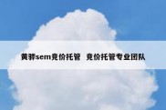 黄骅sem竞价托管  竞价托管专业团队
