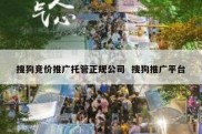 搜狗竞价推广托管正规公司  搜狗推广平台