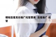 朝阳百度竞价推广托管费用  百度推广 托管