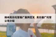 扬州竞价托管推广案例范文  竞价推广托管公司介绍
