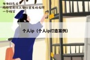 个人ip（个人ip打造案例）