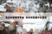 竞价托管哪家专业  竞价托管是什么意思