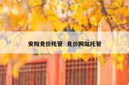 安阳竞价托管  竞价网站托管
