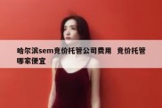 哈尔滨sem竞价托管公司费用  竞价托管哪家便宜