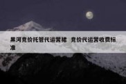 黑河竞价托管代运营裙  竞价代运营收费标准