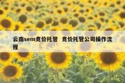 云南sem竞价托管  竞价托管公司操作流程