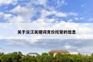 关于沅江关键词竞价托管的信息