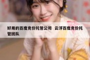 好用的百度竞价托管公司  云浮百度竞价托管团队