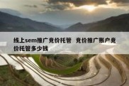 线上sem推广竞价托管  竞价推广账户竞价托管多少钱