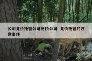 公司竞价托管公司竞价公司  竞价托管的注意事项