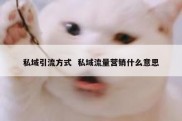 私域引流方式  私域流量营销什么意思