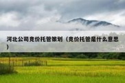 河北公司竞价托管策划（竞价托管是什么意思）