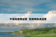 牛商短视频运营  短视频商务运营