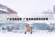 广告电商运营  广告电商运营岗位职责