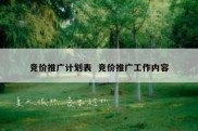竞价推广计划表  竞价推广工作内容