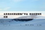 北京竞价托管运营推广平台  竞价托管如何托管