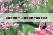 红果短剧推广  红果短剧推广收益怎么看