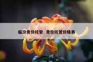 临汾竞价托管  竞价托管价格表