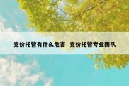竞价托管有什么危害  竞价托管专业团队