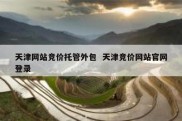 天津网站竞价托管外包  天津竞价网站官网登录