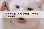 sem竞价推广从入门到精通  sem竞价广告的操作