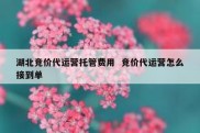 湖北竞价代运营托管费用  竞价代运营怎么接到单