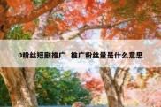 0粉丝短剧推广  推广粉丝量是什么意思