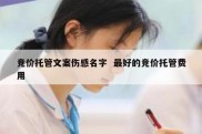 竞价托管文案伤感名字  最好的竞价托管费用