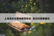 上海竞价托管找哪家好点  竞价托管那里好