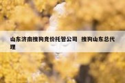 山东济南搜狗竞价托管公司  搜狗山东总代理