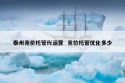 泰州竞价托管代运营  竞价托管优化多少