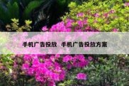 手机广告投放  手机广告投放方案