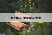 短视频api（短视频api2023）
